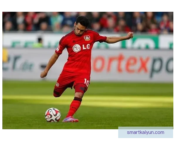 恰尔汗奥卢传球视野 恰尔汗奥卢传球视野